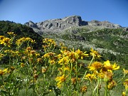 Grande anello dei Laghi della conca del Calvi-26lu23 - FOTOGALLERY